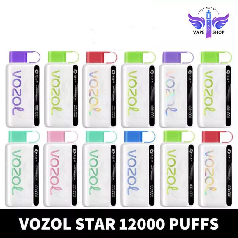 VOZOL STAR 12000 Puffs